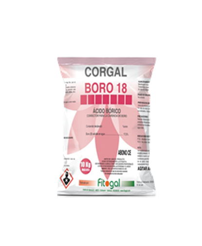   Corgal Boro 18