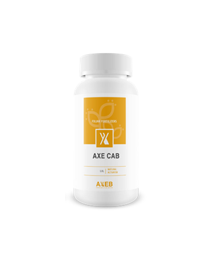   Axe Cab